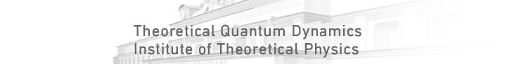               Theoretical Quantum Dynamics